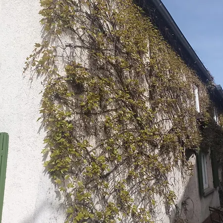 Steinau *